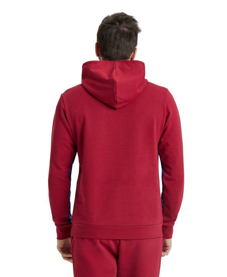 Кофта  Arena ICONS HOODED SWEAT SOLID