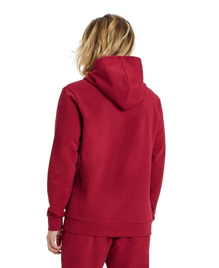 Кофта  Arena ICONS HOODED SWEAT SOLID